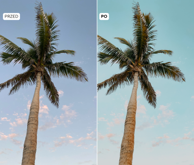 LIFESTYLE przedpo 2.png