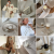 BEIGE (1).png