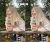 BLONDE przedpo (1).png