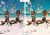 holiday-PP1