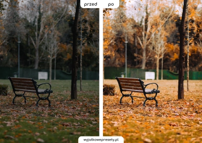 gold_autumn-PP2 (1)