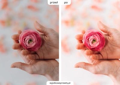 spring-PP2.png