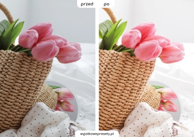 spring-PP4.png
