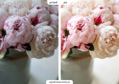 spring-PP5.png