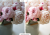 spring-PP5.png