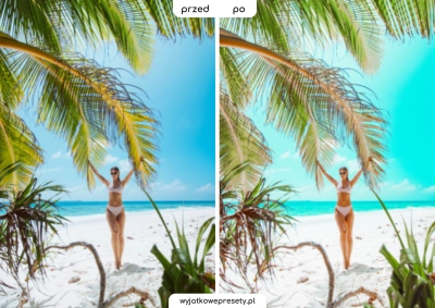summer-PP2.png