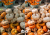 przed i po gold autumn  3.png