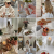 AIRY - Po (1).png