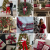 MULLED WINE (3).png