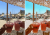 Summer - przedpo (2).png