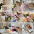 SPRING - Po (1).png
